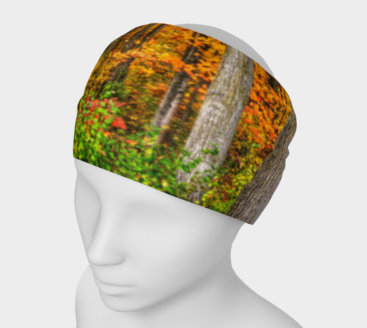 Autumn Trees Headband