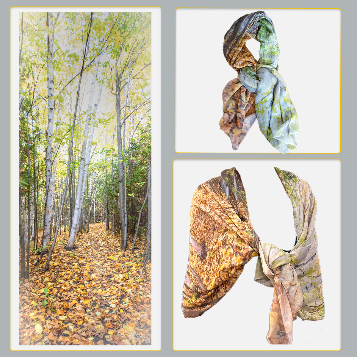 Tall Birches Scarf/Shawl