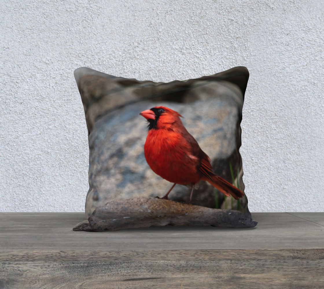 Cardinal Cushion Cover