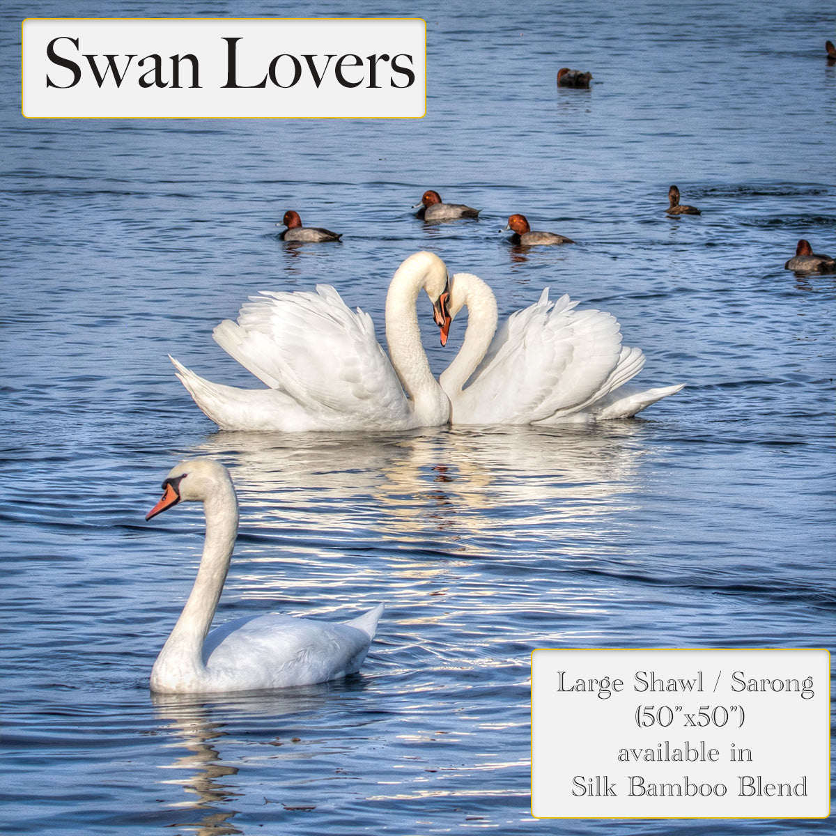 Swan Lovers Peekabo Shawl