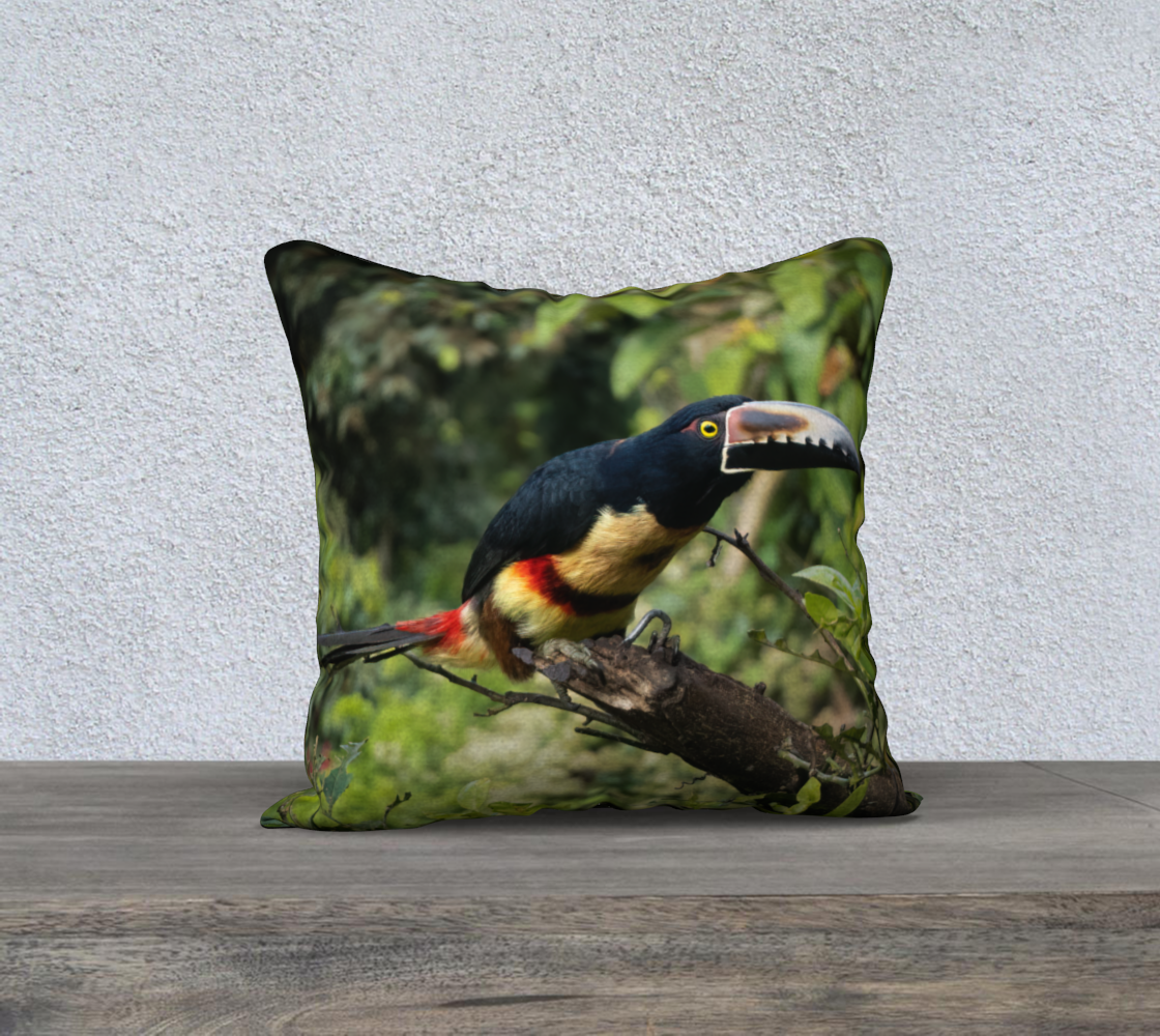 Toucan Cushion Cover