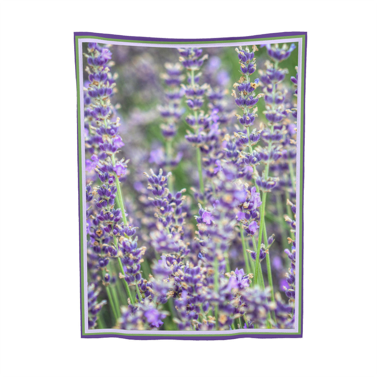 Lavender Fields Soft Baby Blanket