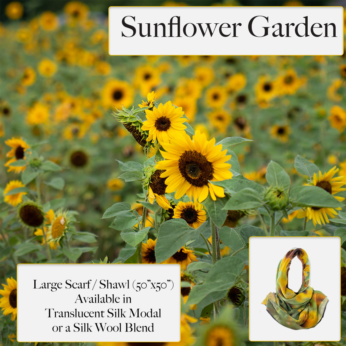 Sunflower Garden Square Shawl
