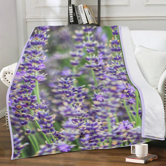 Lavender Fields Soft Blanket