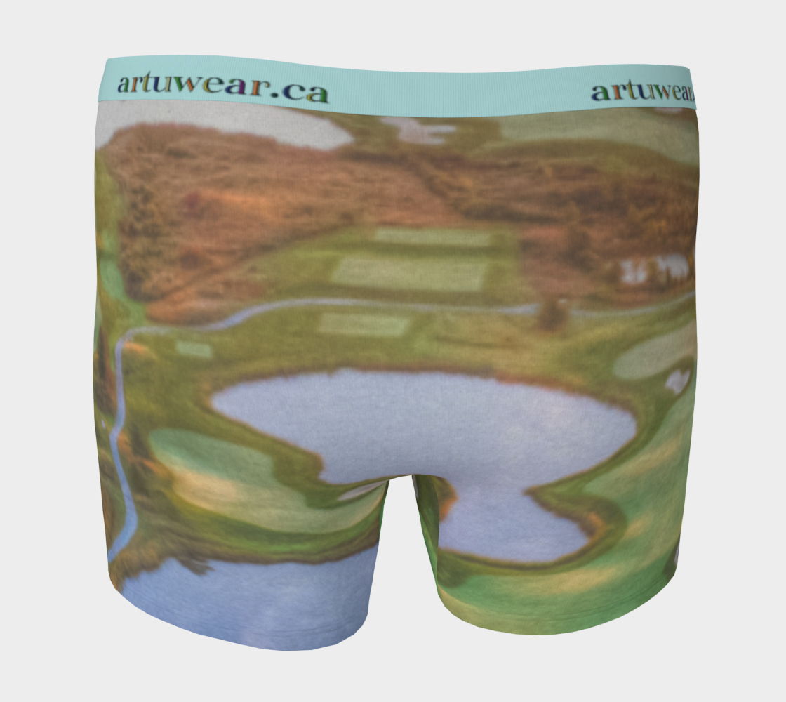 Golf Course Men's Briefs